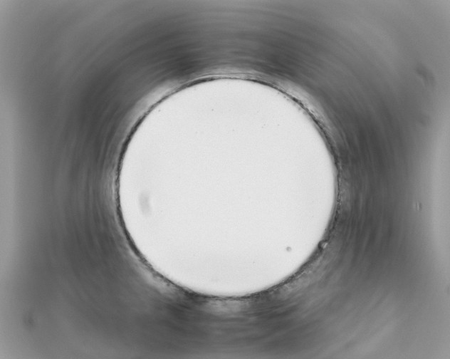 X0000111251237200908131200