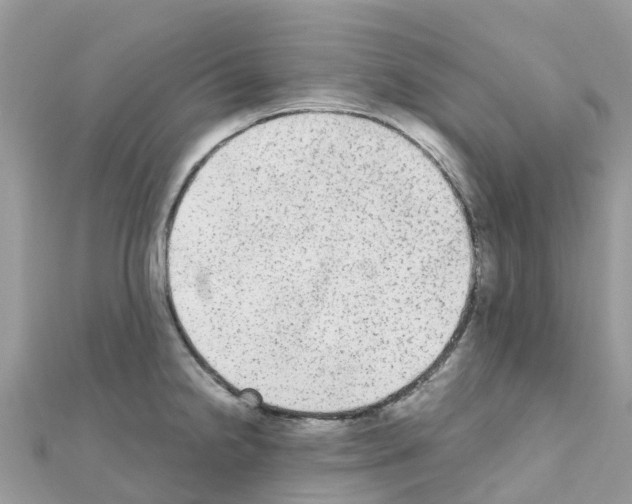 X0000111251238200908131200