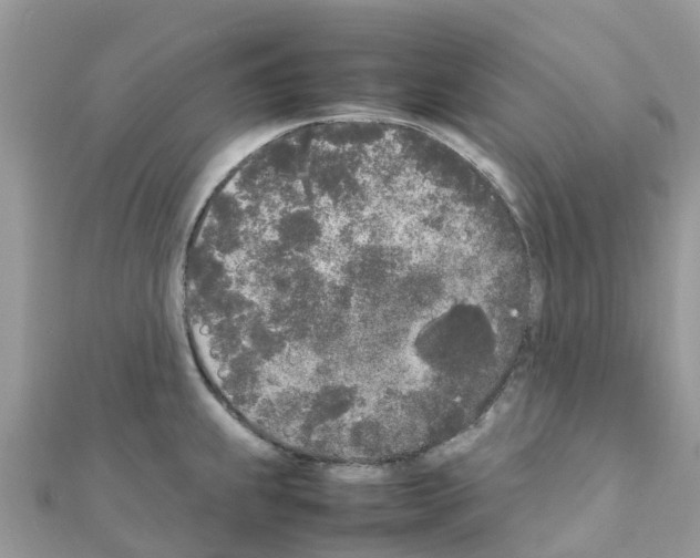 X0000111251239200908131200