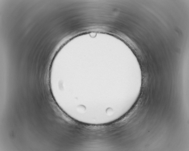 X0000111251240200908131200