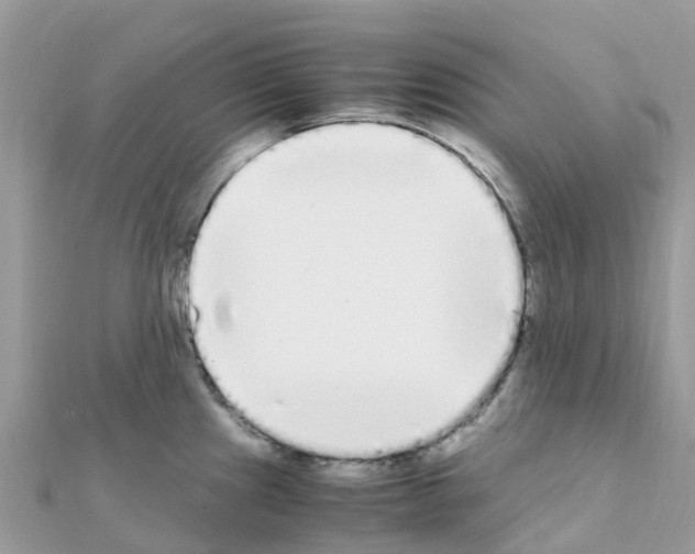 X0000111251241200908131200