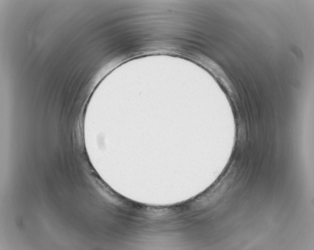 X0000111251242200908131200