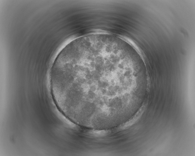 X0000111251243200908131200