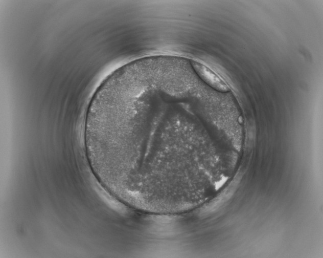 X0000111251246200908131200