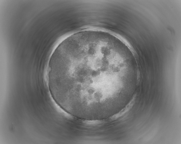 X0000111251247200908131200