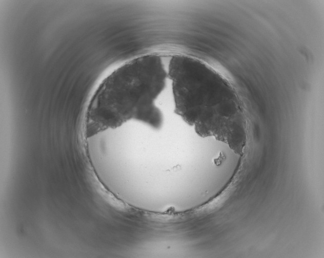 X0000111251248200908131201