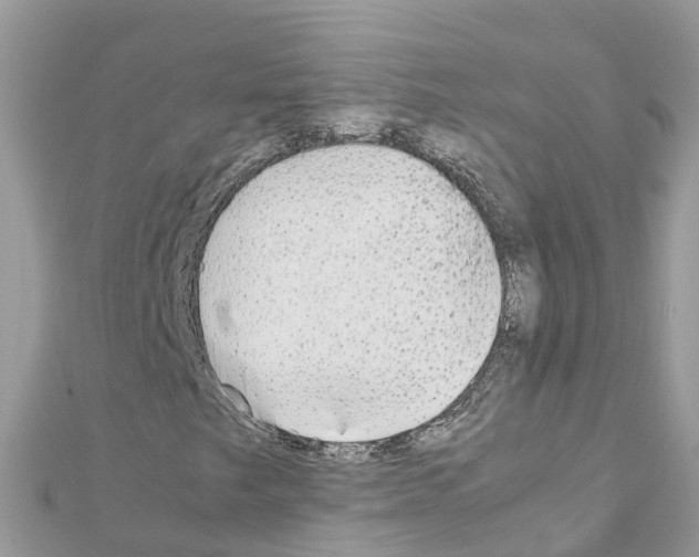 X0000111251249200908131200