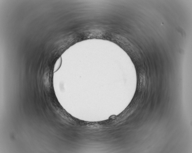 X0000111251250200908131200