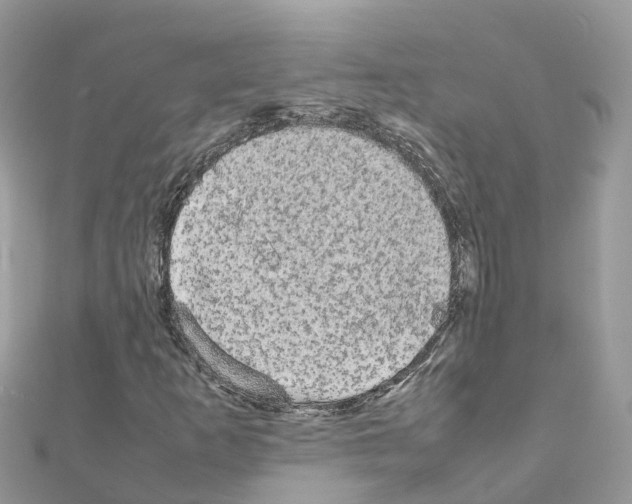 X0000111251253200908131200