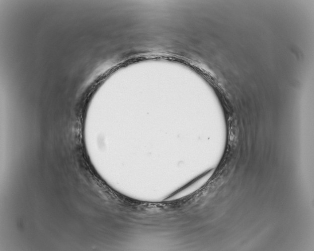 X0000111251255200908131200