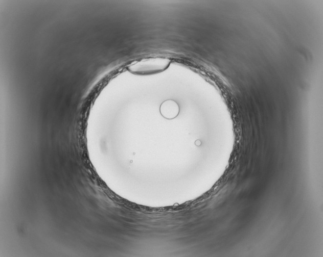 X0000111251256200908131200