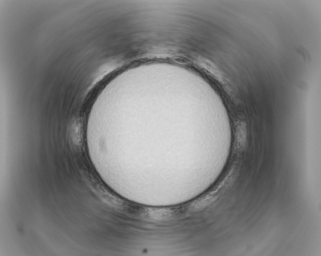 X0000111251258200908131200