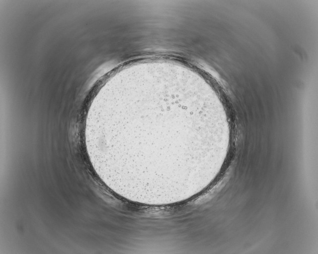 X0000111251259200908131200