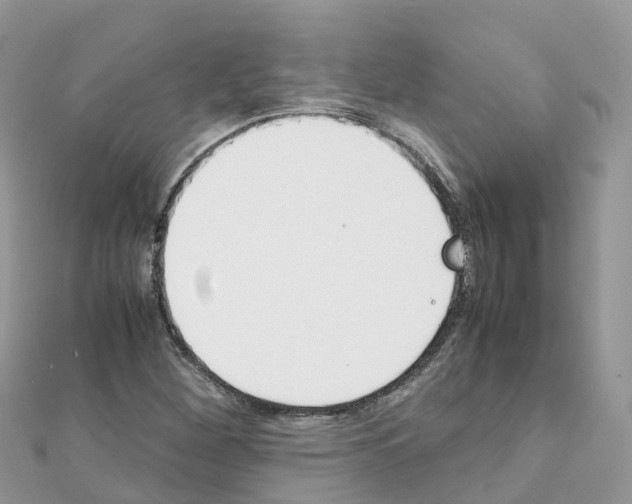 X0000111251260200908131159