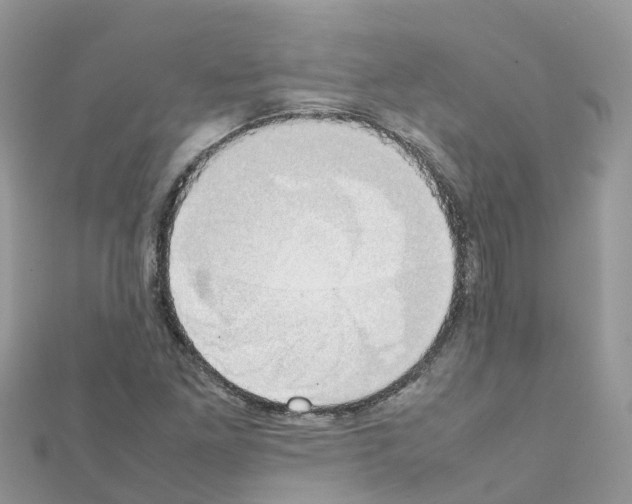 X0000111251261200908131159