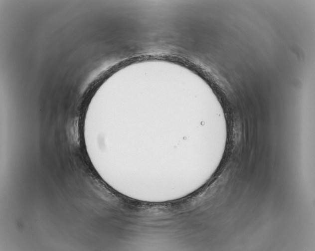 X0000111251262200908131159