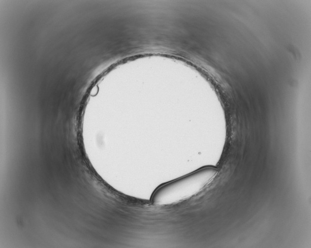 X0000111251264200908131159