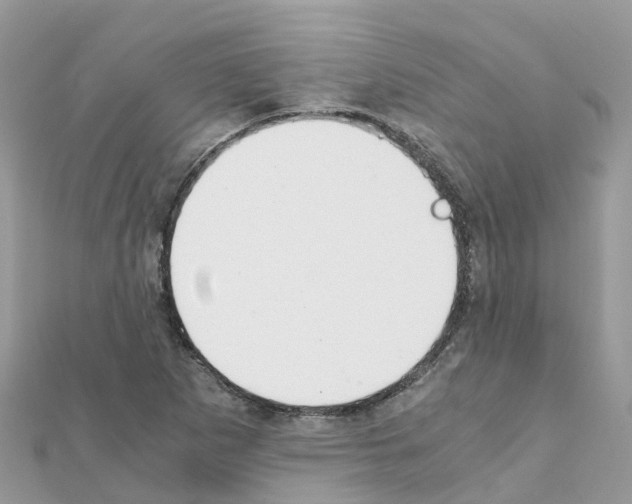 X0000111251265200908131159