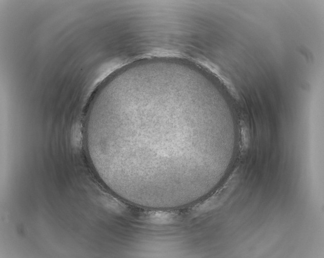 X0000111251266200908131159