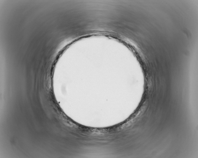 X0000111251267200908131159