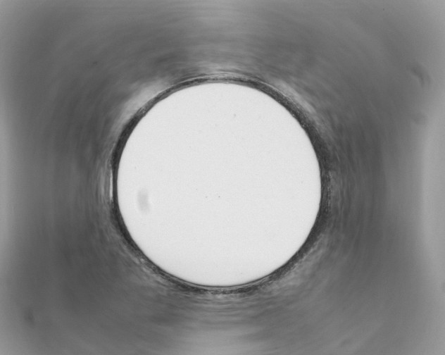 X0000111251269200908131159