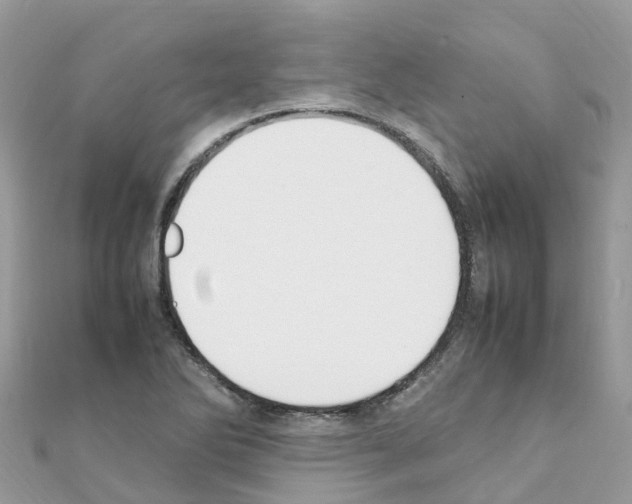 X0000111251270200908131159