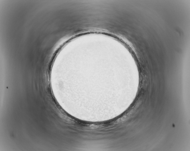 X0000111251271200908131159