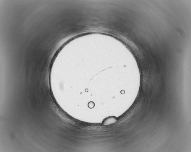 X0000111251272200908131159