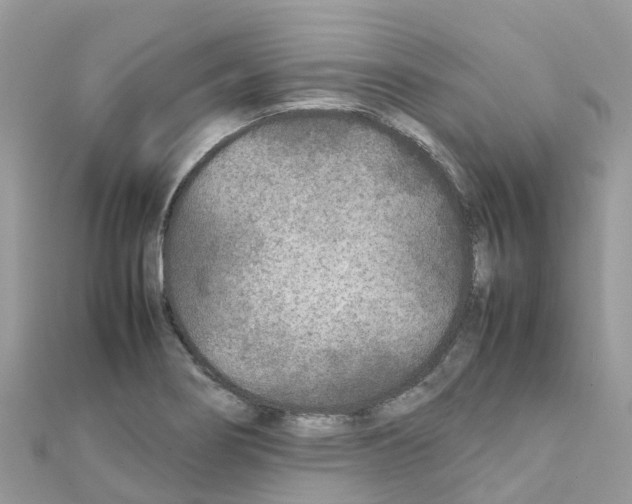 X0000111251274200908131159