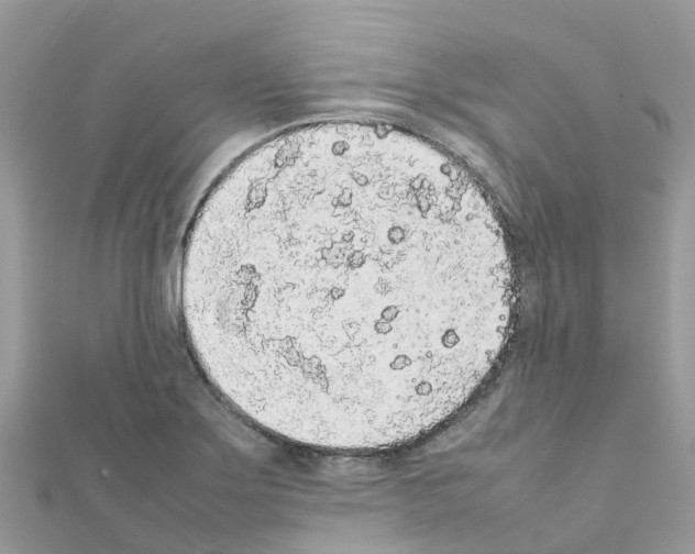 X0000111251275200908131159