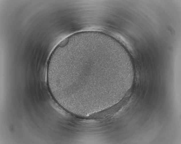 X0000111251276200908131159