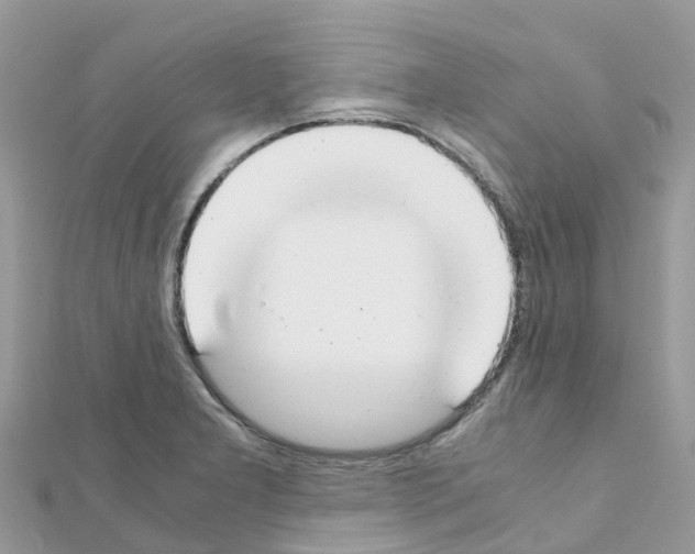 X0000111251277200908131159