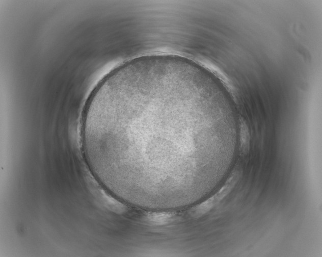 X0000111251278200908131159