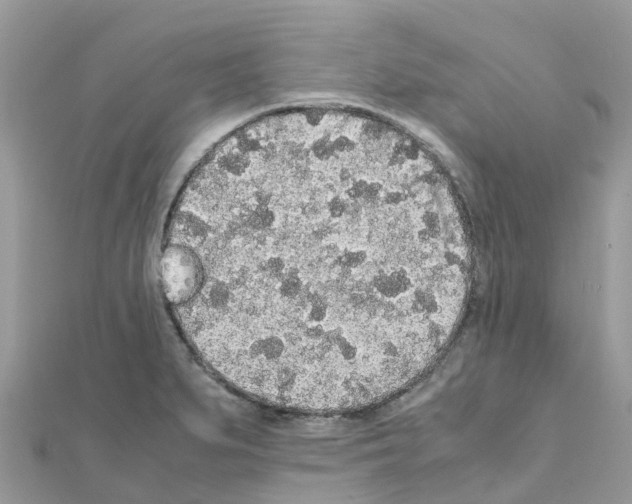 X0000111251279200908131159