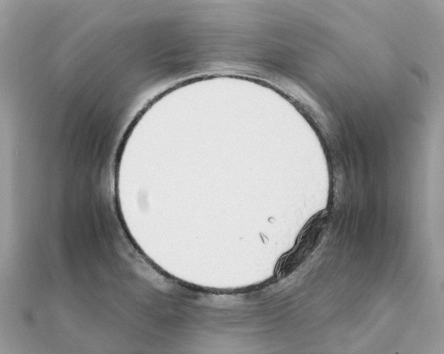 X0000111251280200908131159