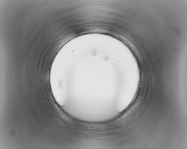 X0000111251281200908131159