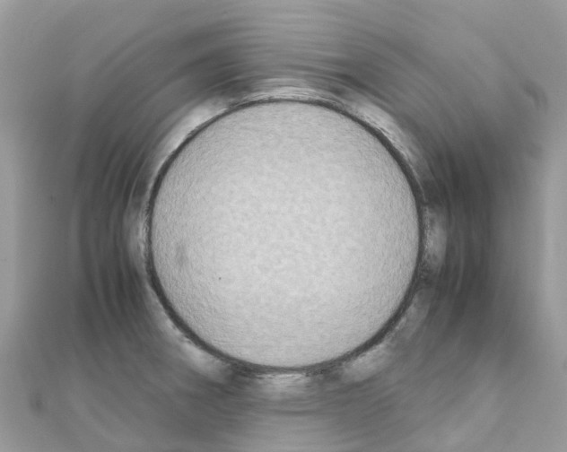 X0000111251282200908131159