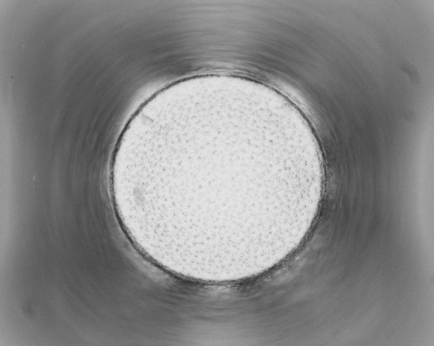 X0000111251283200908131159