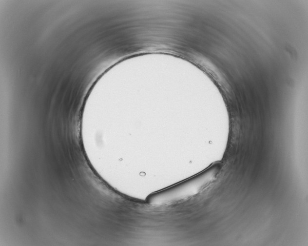 X0000111251284200908131159