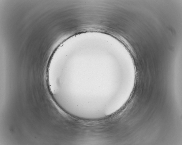 X0000111251285200908131159