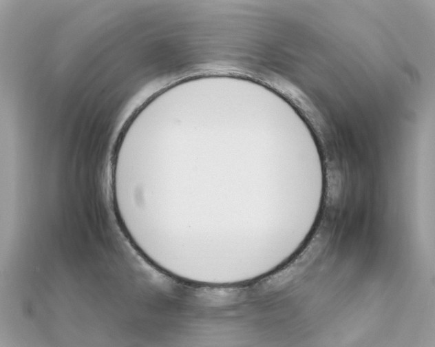 X0000111251286200908131159