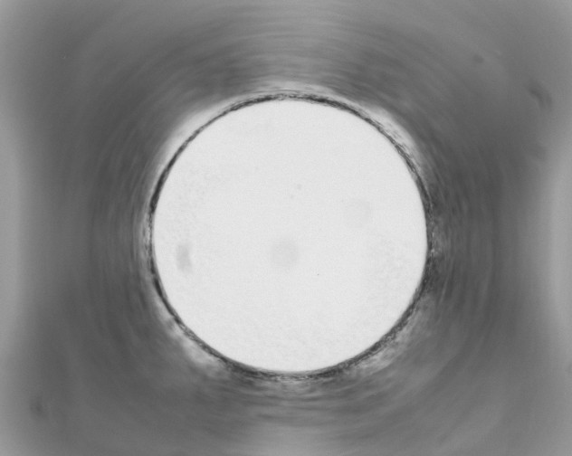 X0000111251287200908131159