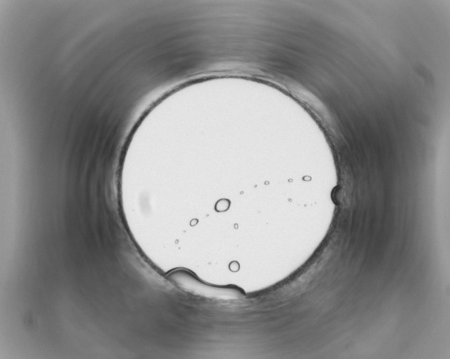 X0000111251288200908131159