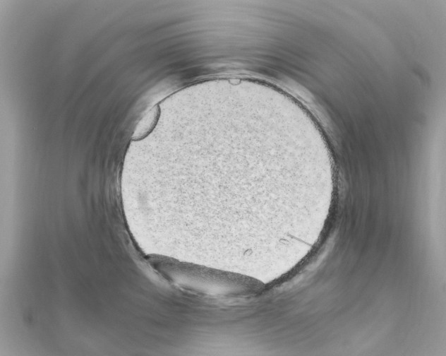 X0000111251289200908131159