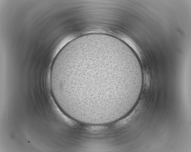 X0000111251290200908131159