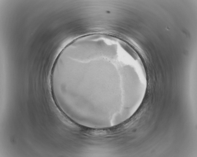 X0000111251291200908131159