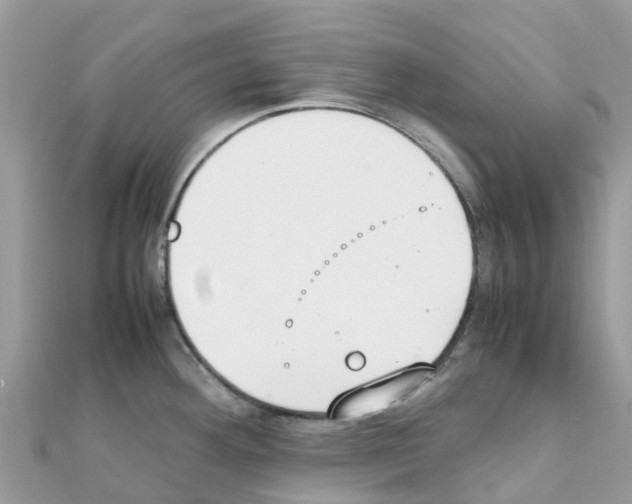 X0000111251292200908131159