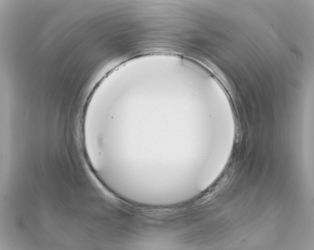 X0000111251293200908131159