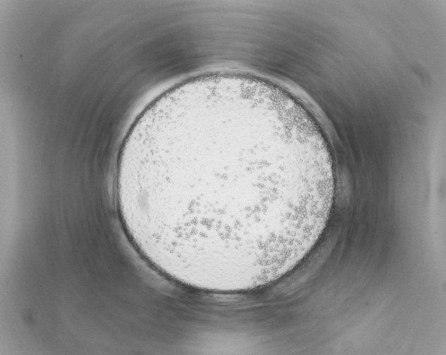 X0000111251295200908131159