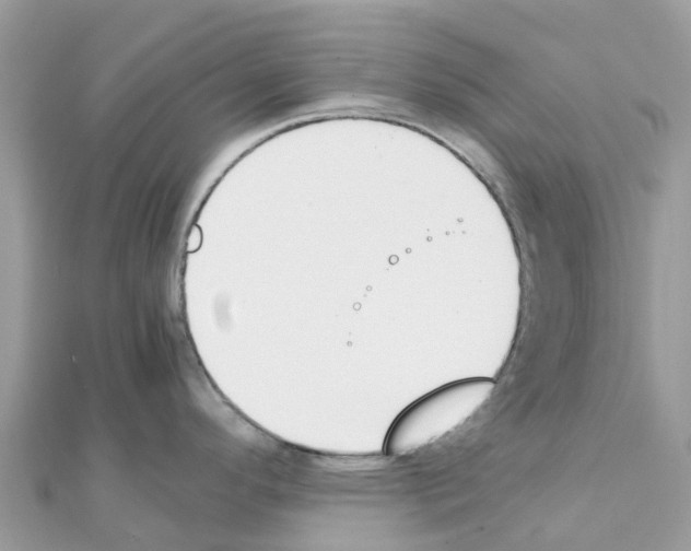 X0000111251296200908131159